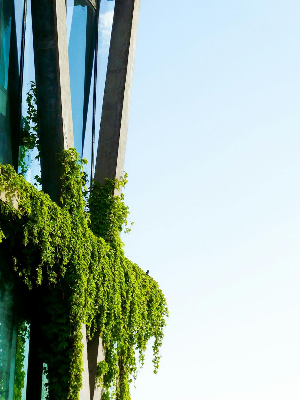 Green Building Certification