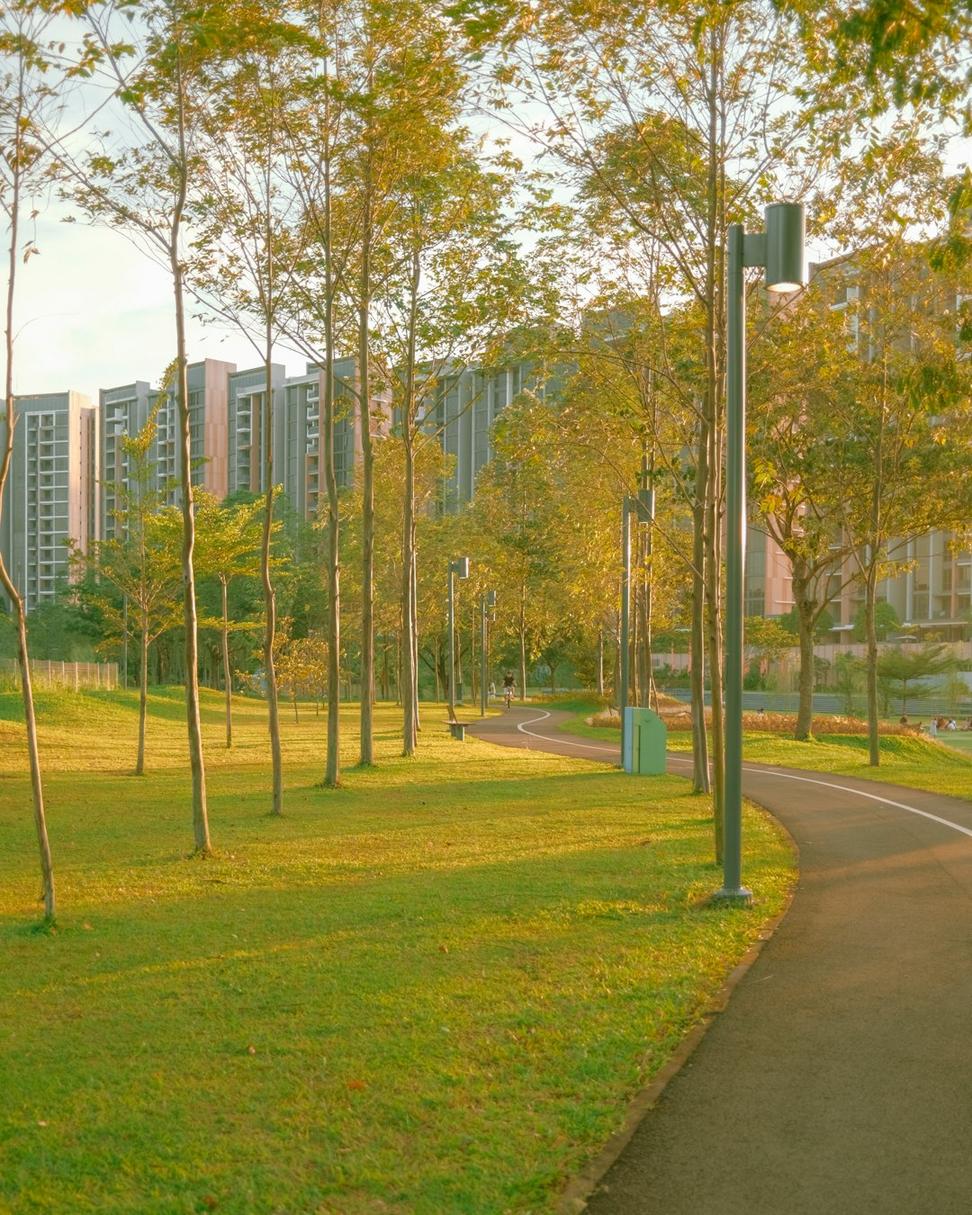 Riverside Urban Regeneration