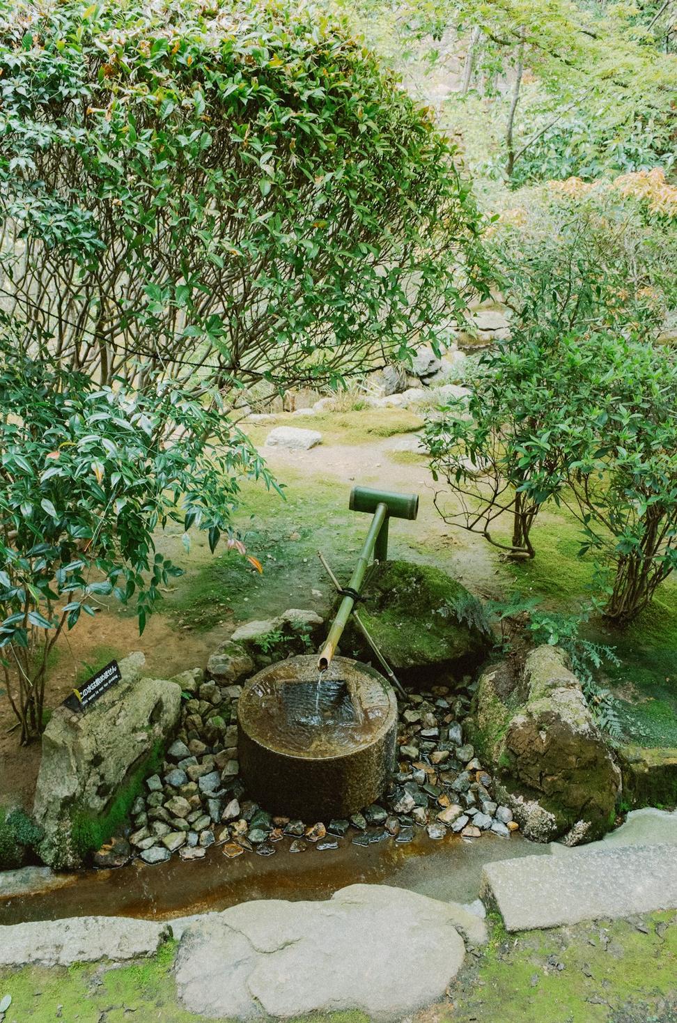 Water Conservation