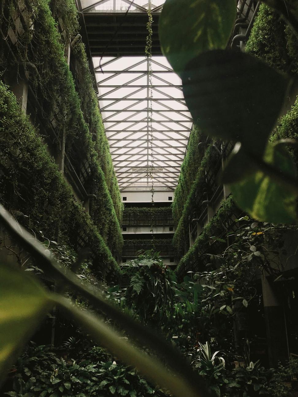Sustainable Architecture